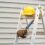Why Invest In Quality Exterior Painting Services Near Beaverton